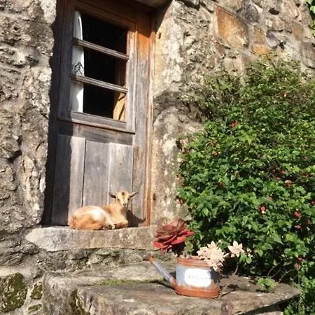 Quinta Padre Lobo