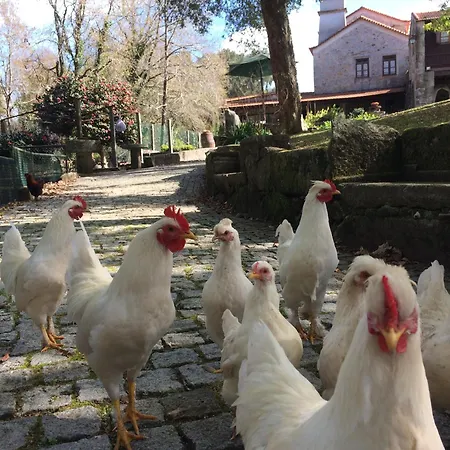 Casa de Campo Quinta Padre Lobo *