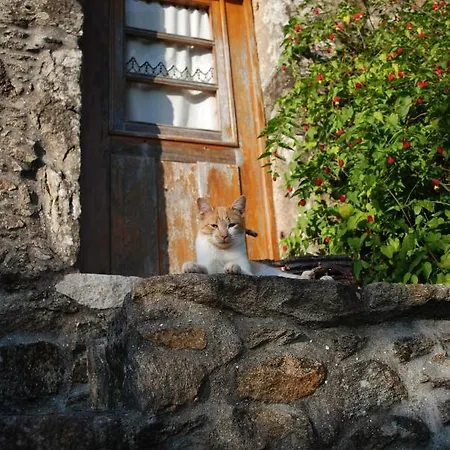 Quinta Padre Lobo Landhaus