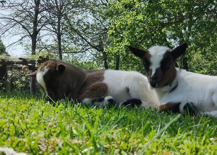 Landhuis Quinta Padre Lobo Santa Maria da Feira