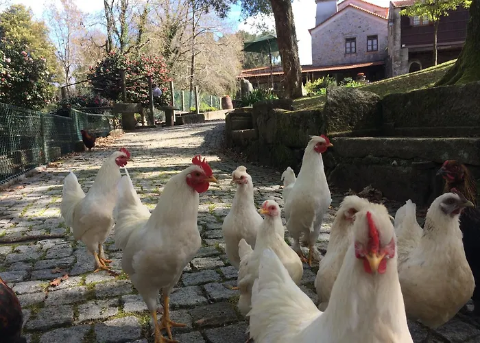 Landhuis Quinta Padre Lobo *