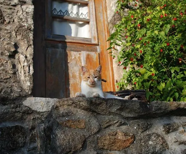 Quinta Padre Lobo Séjour à la campagne