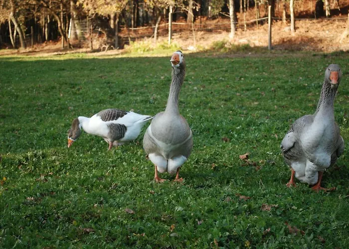 Séjour à la campagne Quinta Padre Lobo *